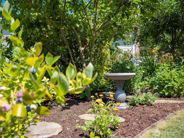 1908 SE 21st Pl, Renton, WA 98055 - photo 29