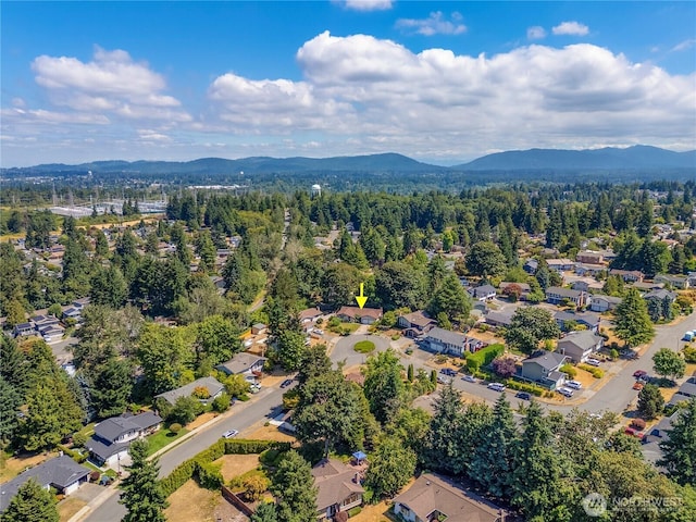 1908 SE 21st Pl, Renton, WA 98055 - photo 31