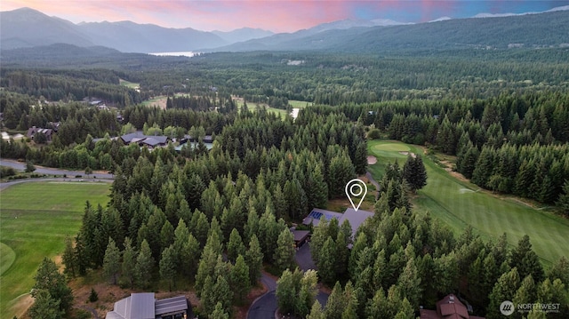 250 Leaden Queen Ln, Cle Elum, WA 98922 - photo 39