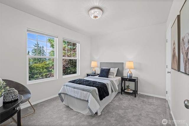 15420 3rd Ave NE, Duvall, WA 98019 - photo 23