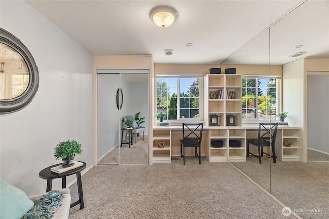2606 28th Ave SE, Olympia, WA 98501 - photo 22