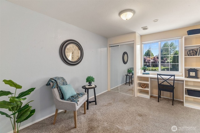 2606 28th Ave SE, Olympia, WA 98501 - photo 23