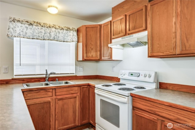 111 Alpine Lp, Sequim, WA 98382 - photo 10
