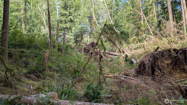 7511 Woods Lk, Monroe, WA 98272 - photo 2