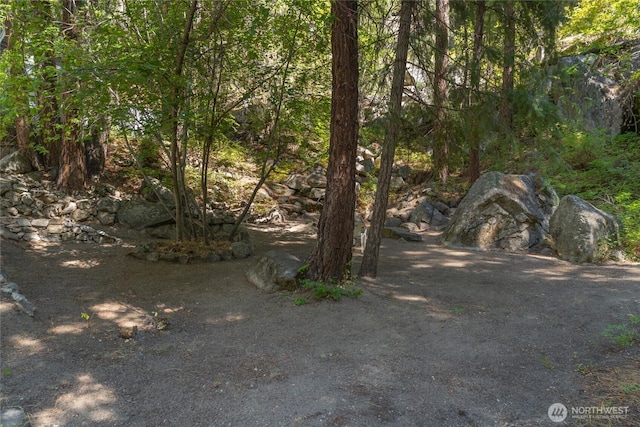 17976 Entiat River Rd, Entiat, WA 98822 - photo 11