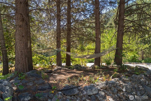 17976 Entiat River Rd, Entiat, WA 98822 - photo 16
