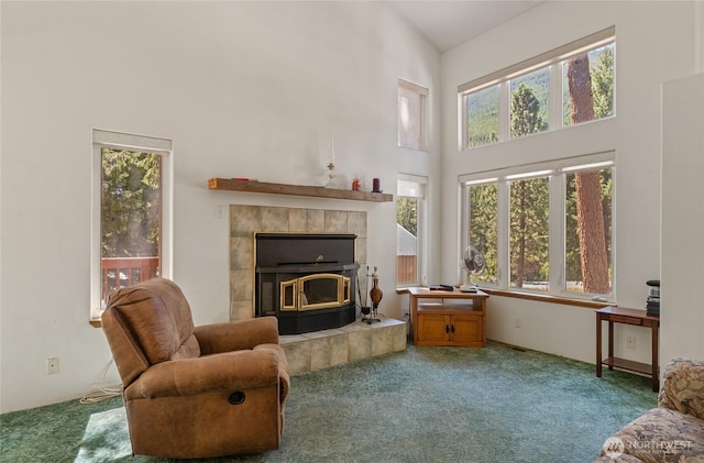 17976 Entiat River Rd, Entiat, WA 98822 - photo 23