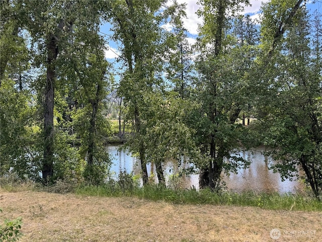 19 Snook Dr, Danville, WA 99121 - photo 40