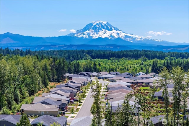 14934 Olympic Loop E, Bonney Lake, WA 98391 - photo 35