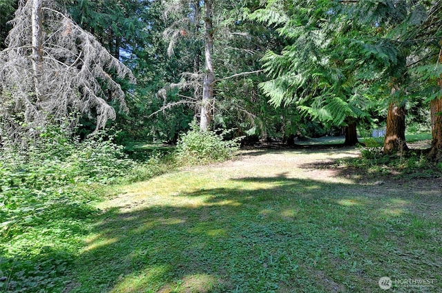 17414 62nd Ave NW, Stanwood, WA 98292 - photo 36
