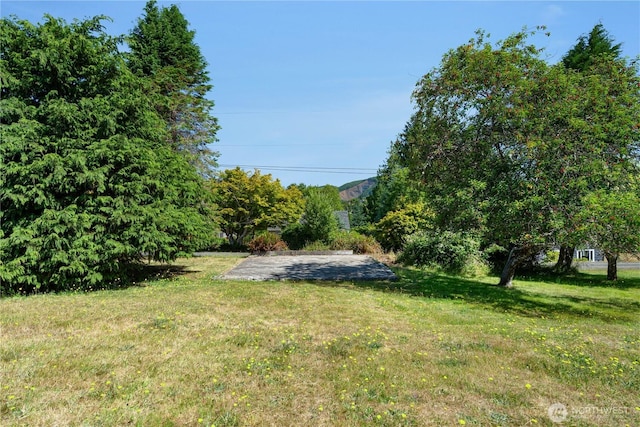 211 Harrison St, Raymond, WA 98577 - photo 33