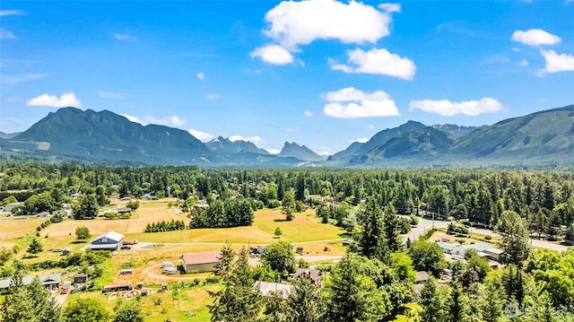 35819 Sultan Startup Rd SW, Sultan, WA 98294 - photo 38