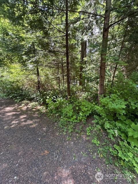 0 SE Somers Dr, Shelton, WA 98584 - photo 4