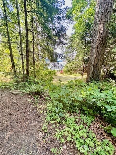 0 SE Somers Dr, Shelton, WA 98584 - photo 5