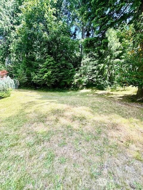 0 SE Somers Dr, Shelton, WA 98584 - photo 6