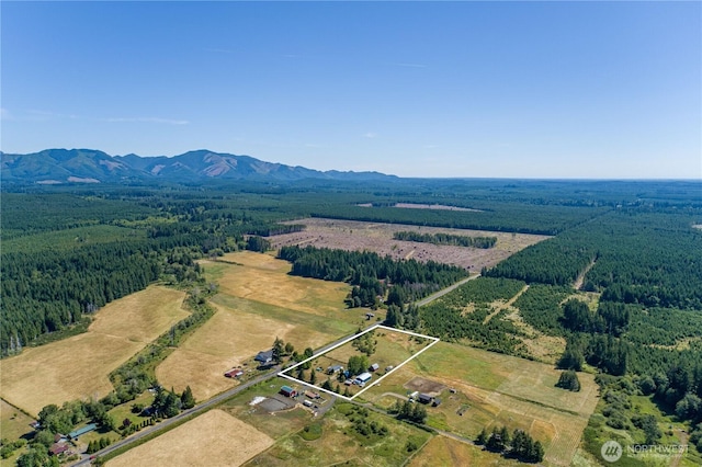 71 W Doggone Ln, Elma, WA 98541 - photo 2