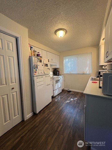 24407 Richards Rd Unit A & B, Sedro Woolley, WA 98284 - photo 3