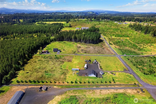 135 Remington Ln, Chehalis, WA 98532 - photo 19