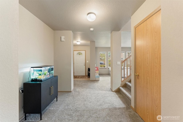 6827 11th Ave NE, Olympia, WA 98516 - photo 3