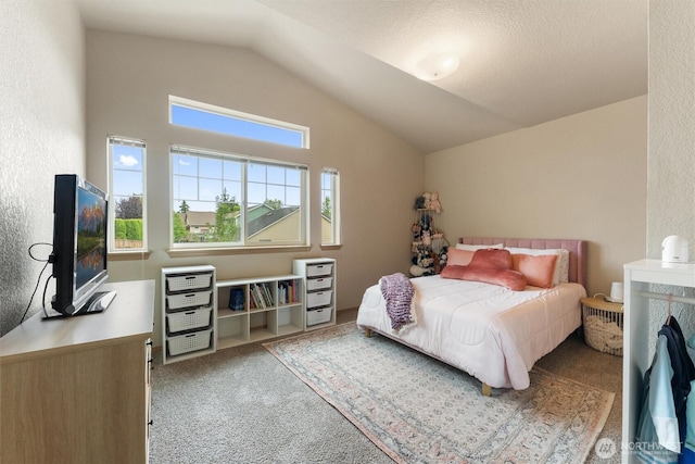 6827 11th Ave NE, Olympia, WA 98516 - photo 19
