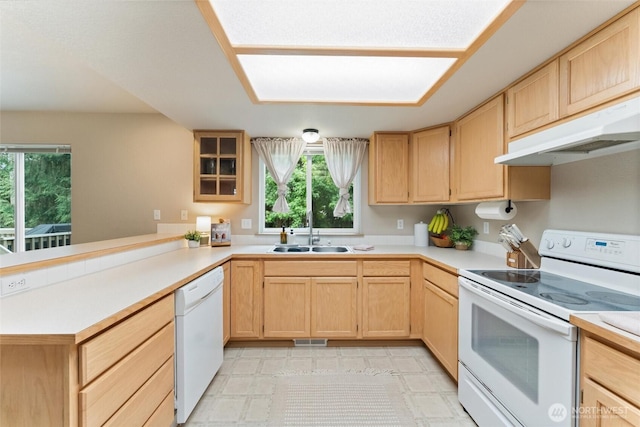 6827 11th Ave NE, Olympia, WA 98516 - photo 9