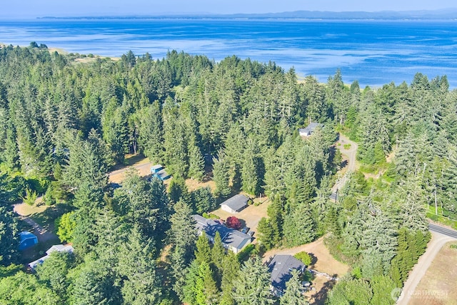 31523 Sandridge Rd, Ocean Park, WA 98640 - photo 28
