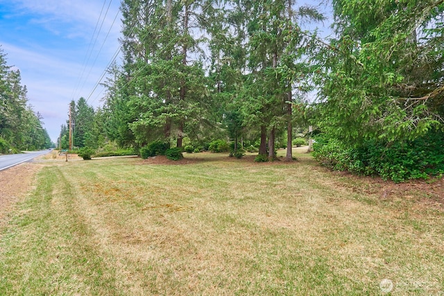 31523 Sandridge Rd, Ocean Park, WA 98640 - photo 29