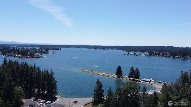 2715 65th St SE, Auburn, WA 98092 - photo 31