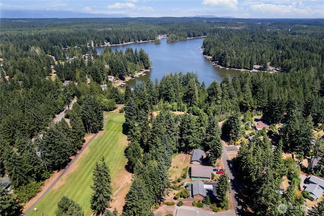 81 E Dunoon Pl, Shelton, WA 98584 - aerial view of a heavily wooded area and a nearby body of water