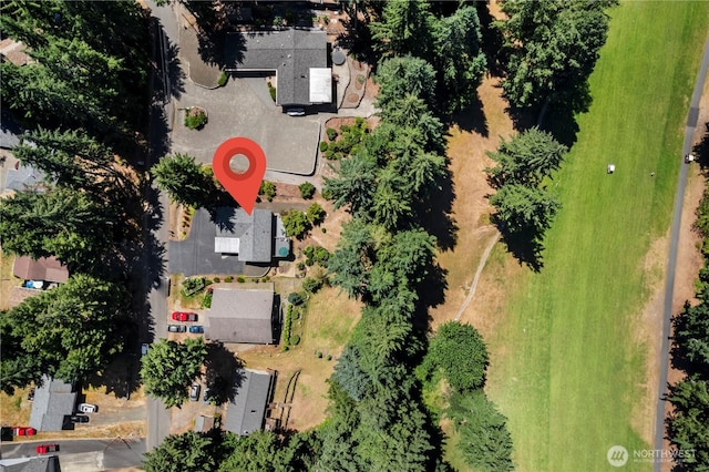 81 E Dunoon Pl, Shelton, WA 98584 - aerial view of property and surrounding area