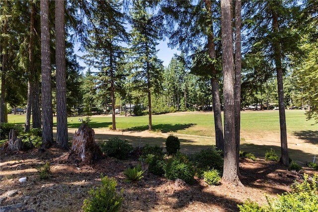 81 E Dunoon Pl, Shelton, WA 98584 - view of green lawn