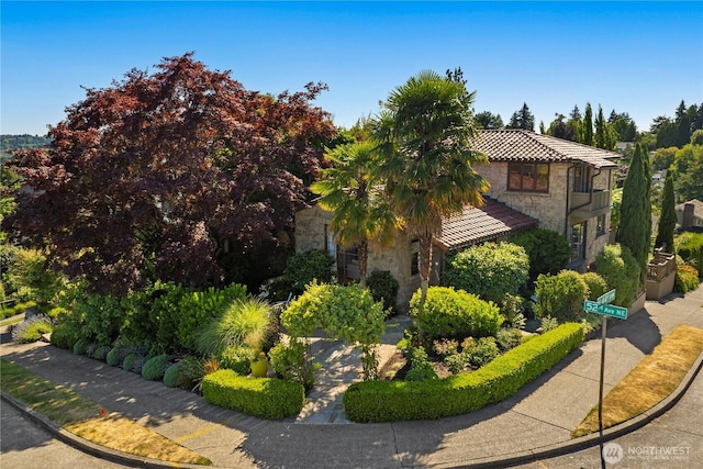 4315 52nd Ave NE, Seattle, WA 98105 - view of side of home with stone siding