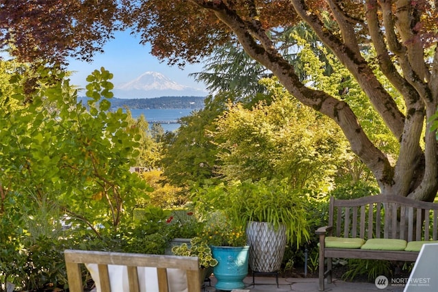 4315 52nd Ave NE, Seattle, WA 98105 - view of yard with a water and mountain view