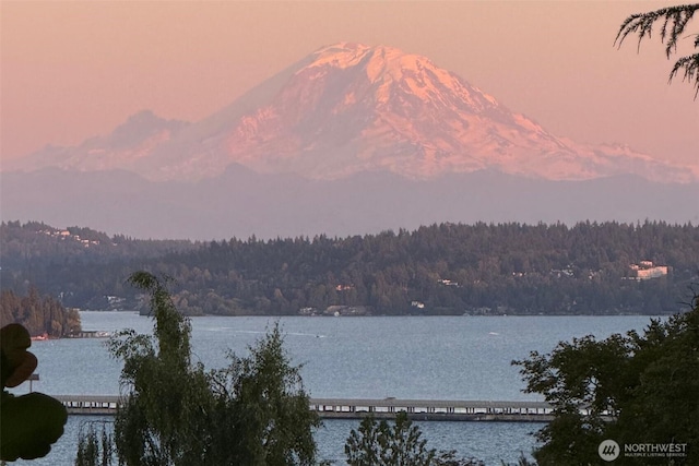 4315 52nd Ave NE, Seattle, WA 98105 - water view with a heavily wooded area and a mountain backdrop