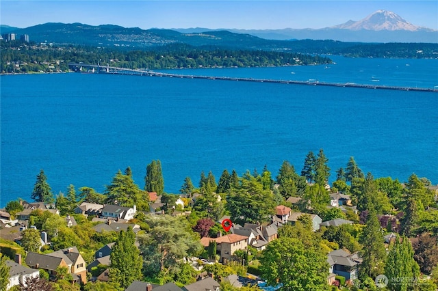 4315 52nd Ave NE, Seattle, WA 98105 - aerial view of residential area featuring a water and mountain view and a notable bridge