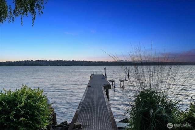 1433 10th St W, Kirkland, WA 98033 - photo 36