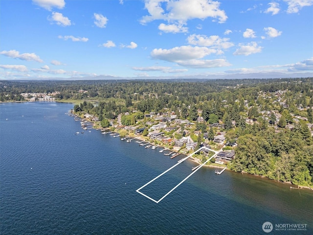 1433 10th St W, Kirkland, WA 98033 - photo 39