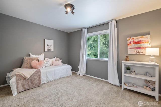 13327 82nd Dr SE, Snohomish, WA 98296 - photo 29