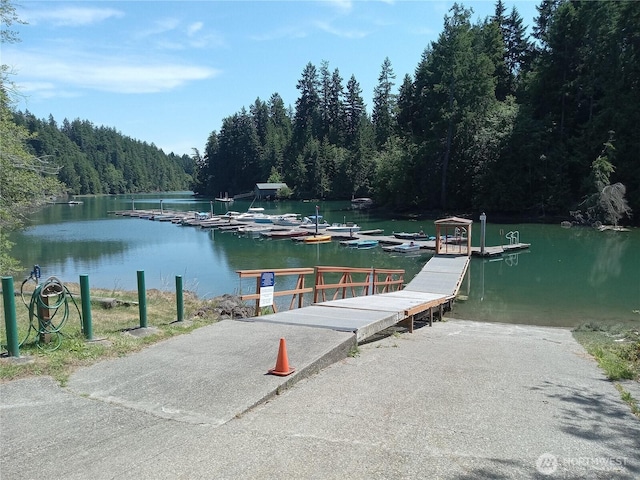 90 Maple St, Quilcene, WA 98376 - photo 18