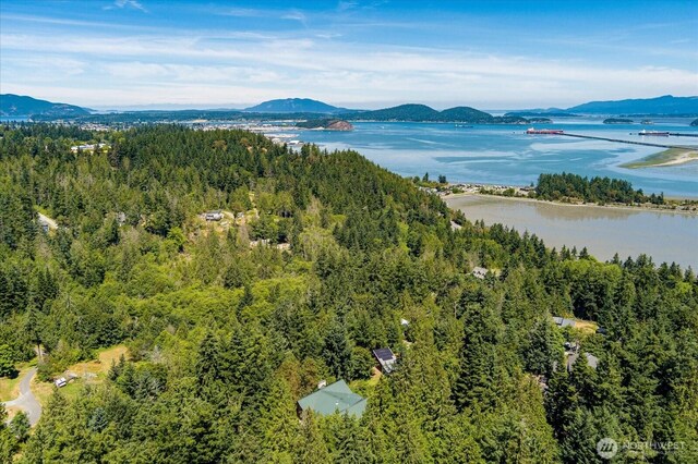 11724 Hummingbird Ln, Anacortes, WA 98221 - photo 37