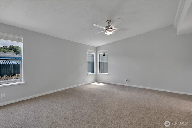 1402 22nd St NE Unit 558, Auburn, WA 98002 - photo 15