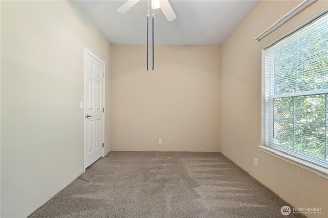 6948 Howell Ln, Sedro Woolley, WA 98284 - photo 19