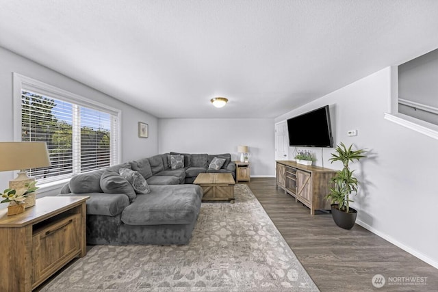 7308 Clamdigger Dr, Blaine, WA 98230 - living room with wood finished floors and baseboards