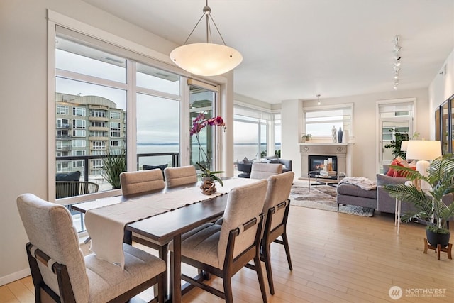 2801 1st Ave Unit 501, Seattle, WA 98121 - dining space with track lighting, a glass covered fireplace, and light wood-style floors