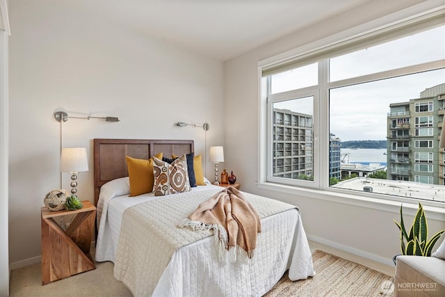 2801 1st Ave Unit 501, Seattle, WA 98121 - carpeted bedroom with baseboards and a water view