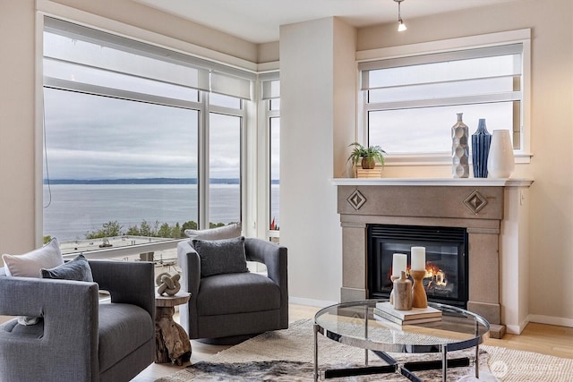 2801 1st Ave Unit 501, Seattle, WA 98121 - living room with wood finished floors, a premium fireplace, and a water view