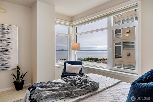 2801 1st Ave Unit 501, Seattle, WA 98121 - bedroom with carpet and multiple windows