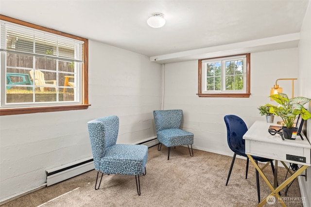 1054 S 124th St, Burien, WA 98168 - photo 19