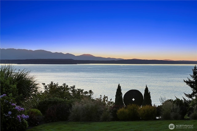 2171 Sunset Ave SW, Seattle, WA 98116 - photo 20