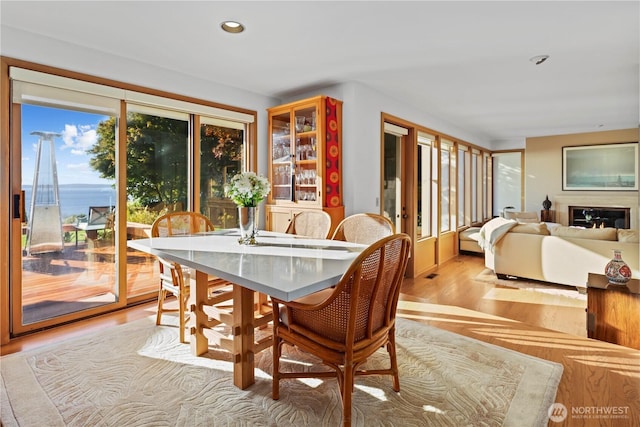 2171 Sunset Ave SW, Seattle, WA 98116 - photo 14